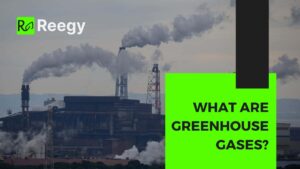 What are greenhouse gases