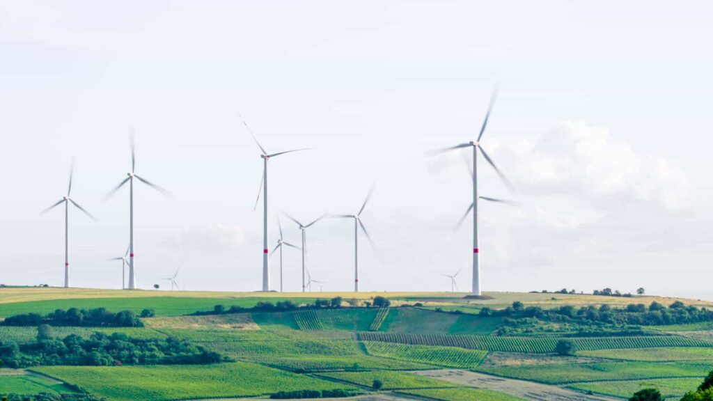 Wind park in between fields